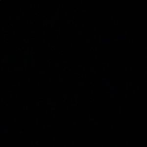 Meet your Posher, Lennox